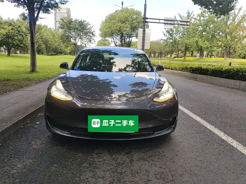 Tesla Model 3 — миниатюра 3