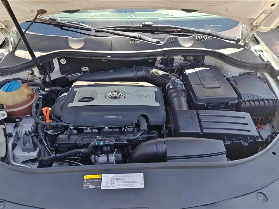 Volkswagen Magotan 2015 2.0TSI Flagship