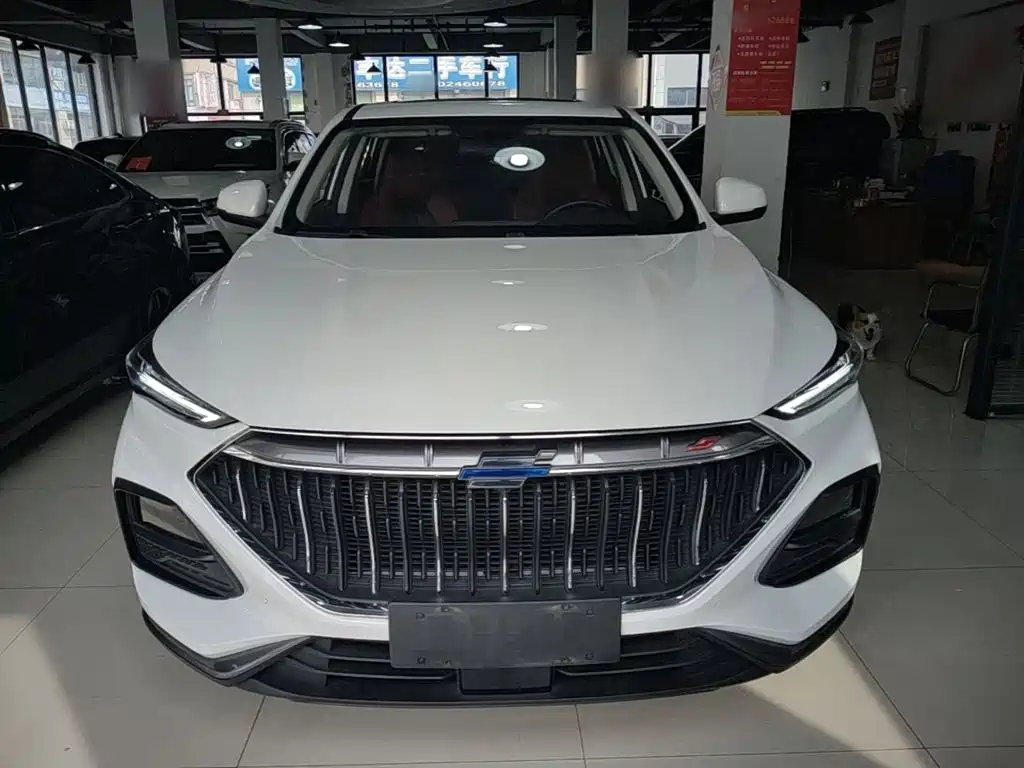 Oshan Oushang X5 — миниатюра 3
