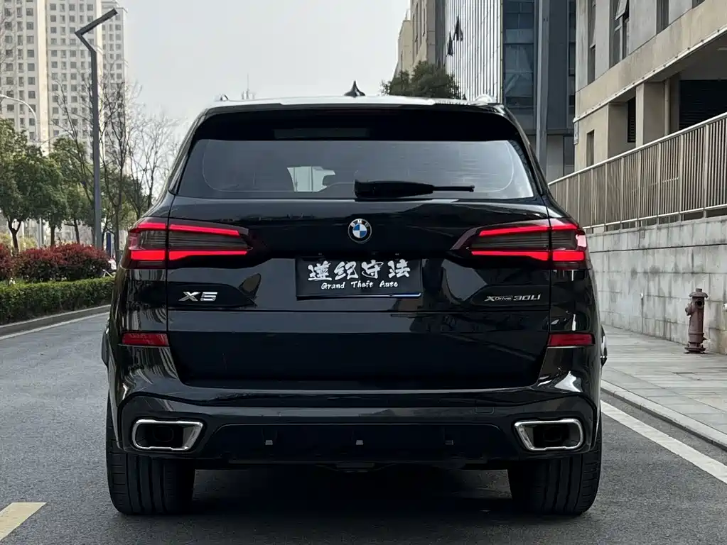 BMW X5 — миниатюра 8