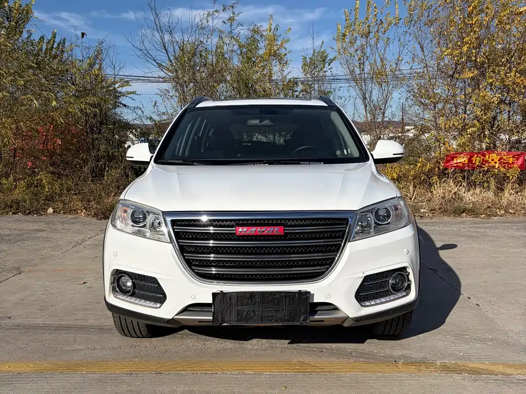 Haval H6 — миниатюра 2