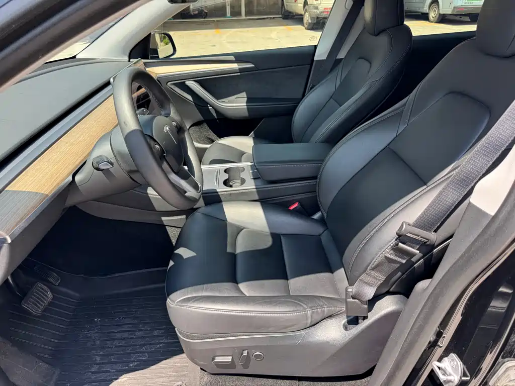 Tesla Model Y — миниатюра 5