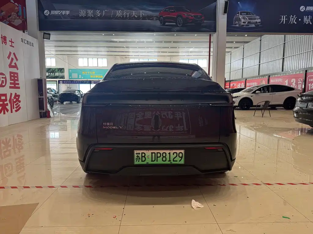Tesla Model Y — миниатюра 5