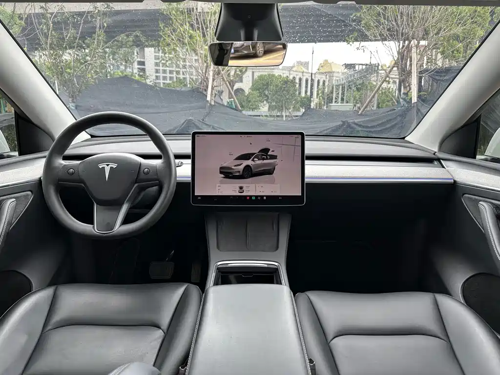 Tesla Model Y — миниатюра 5