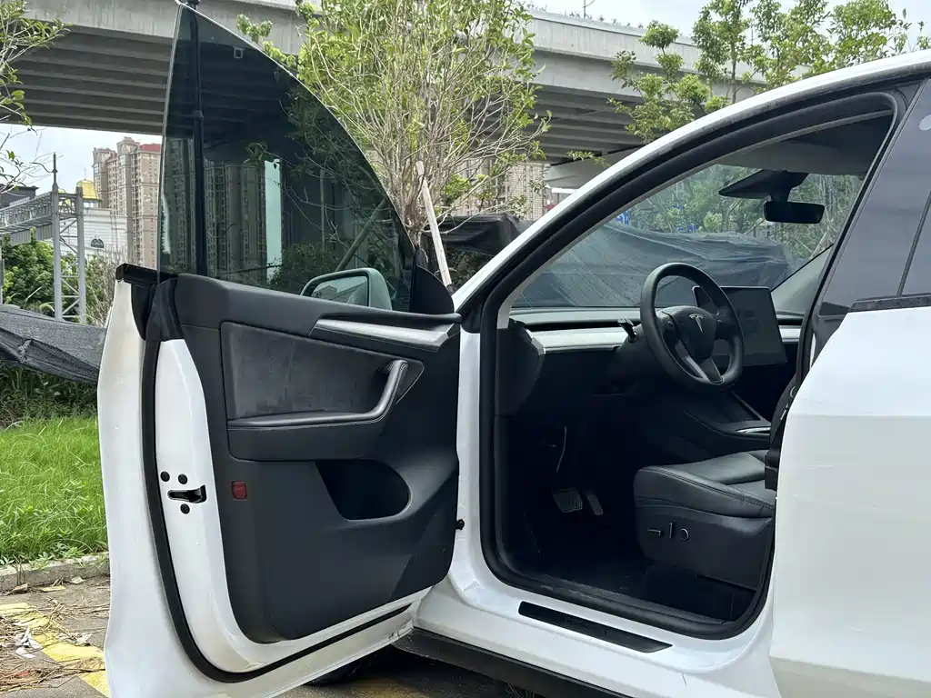 Tesla Model Y — миниатюра 4