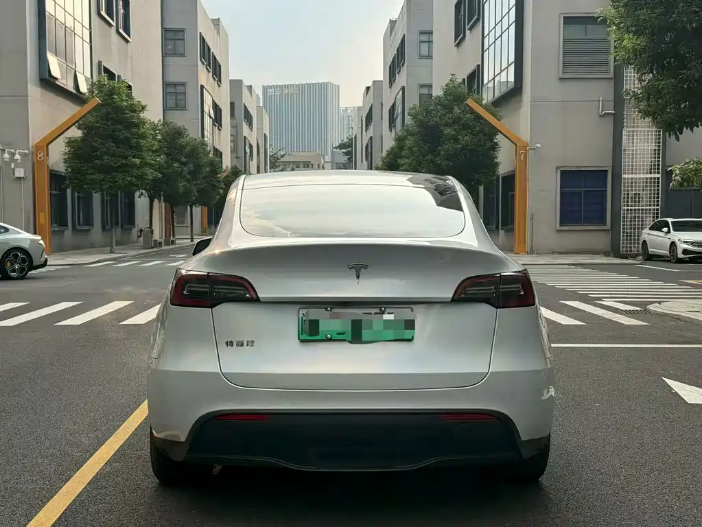 Tesla Model Y — миниатюра 5
