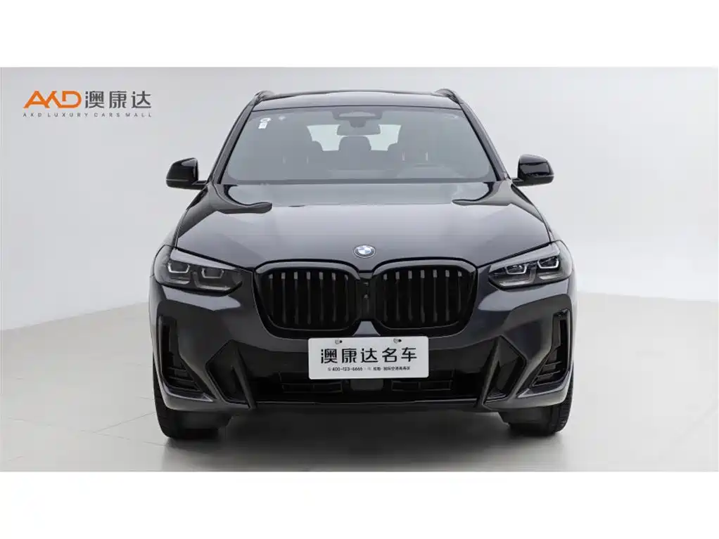 BMW X3 — миниатюра 2