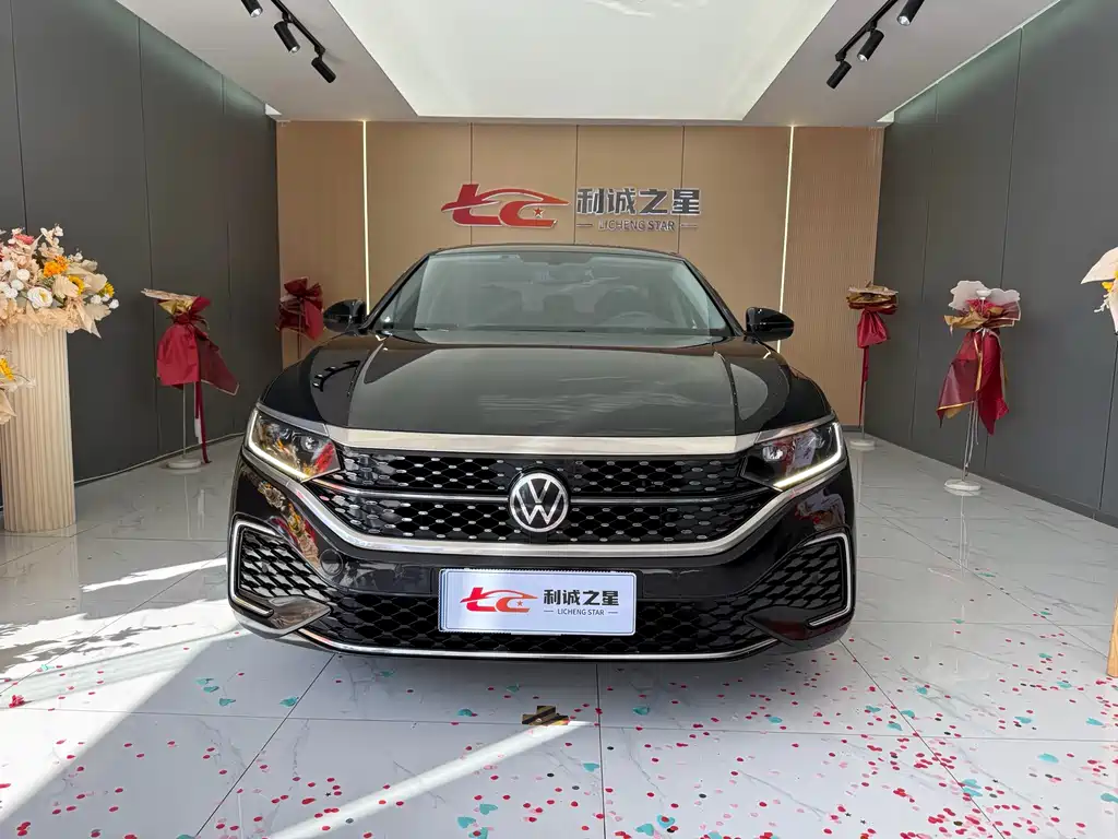 Volkswagen Passat — миниатюра 2