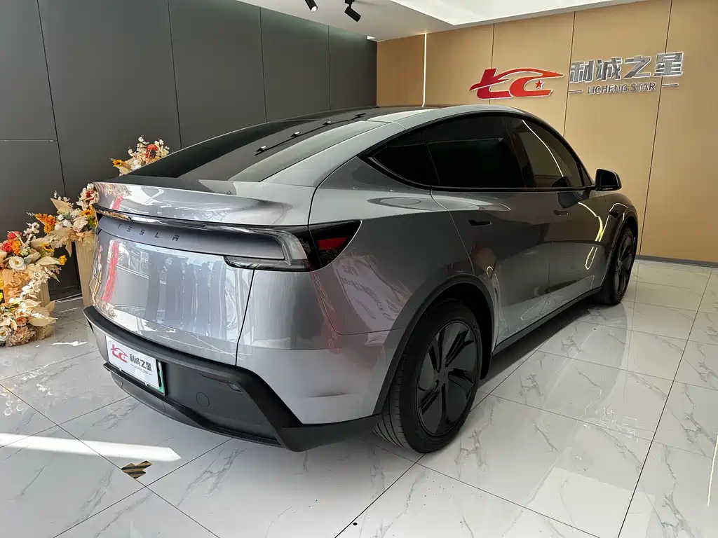 Tesla Model Y — миниатюра 4