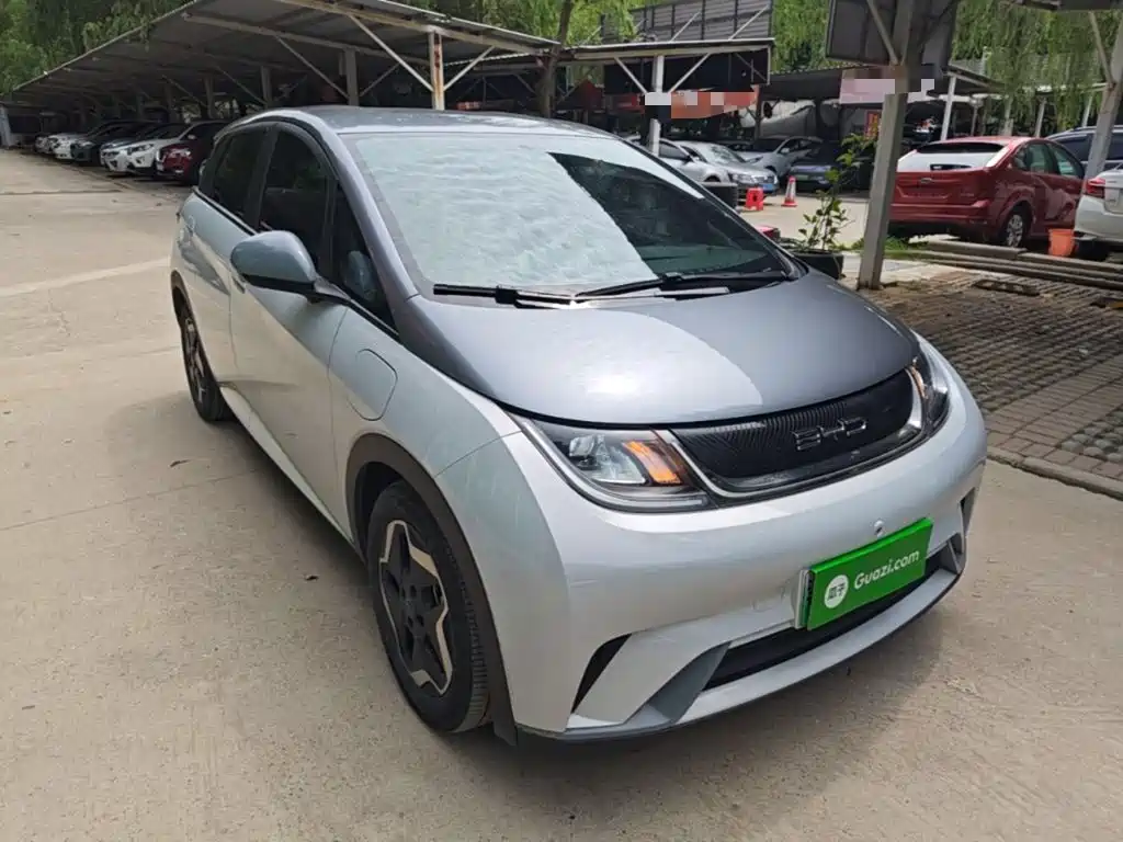 BYD Dolphin 2021 405km Freedom