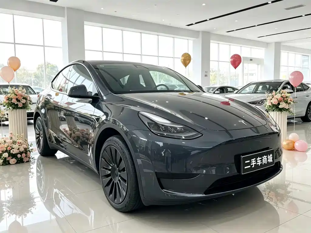 Tesla Model Y 2024