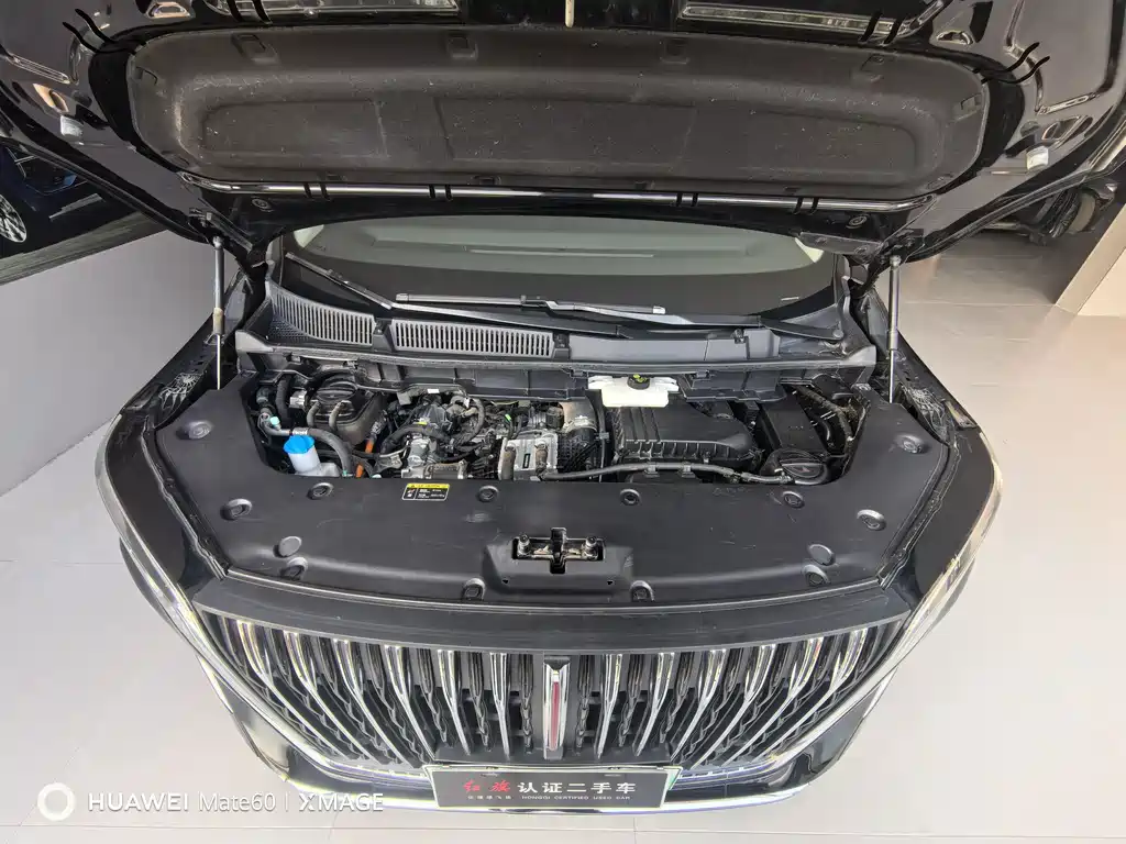 Hongqi Hongqi HQ9 — миниатюра 14