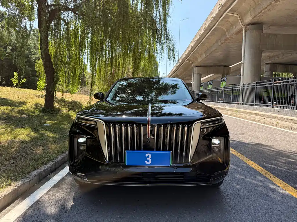 Hongqi Hongqi E-HS9 — миниатюра 2