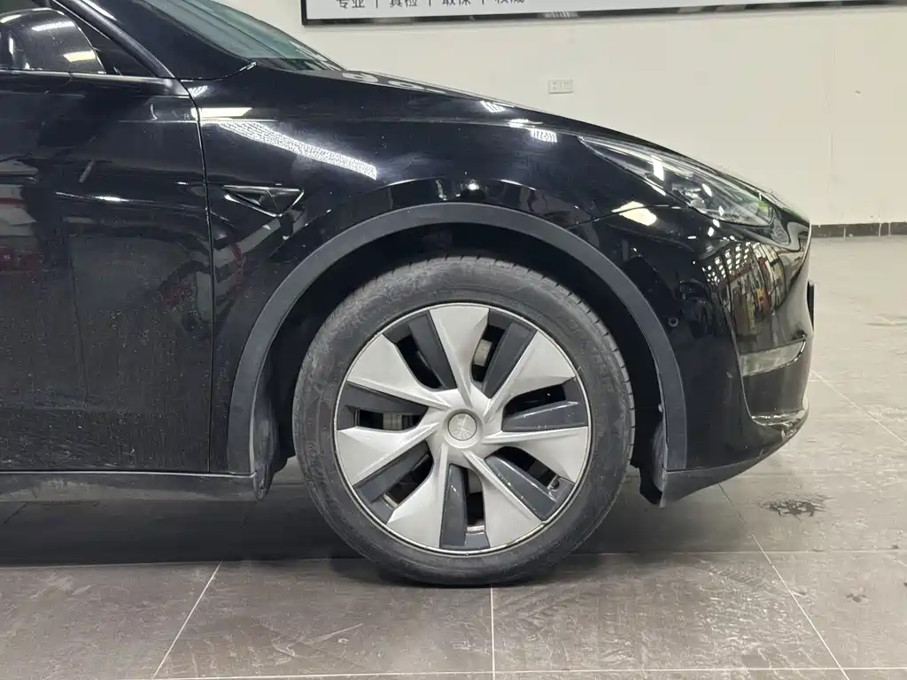 Tesla Model Y — миниатюра 5
