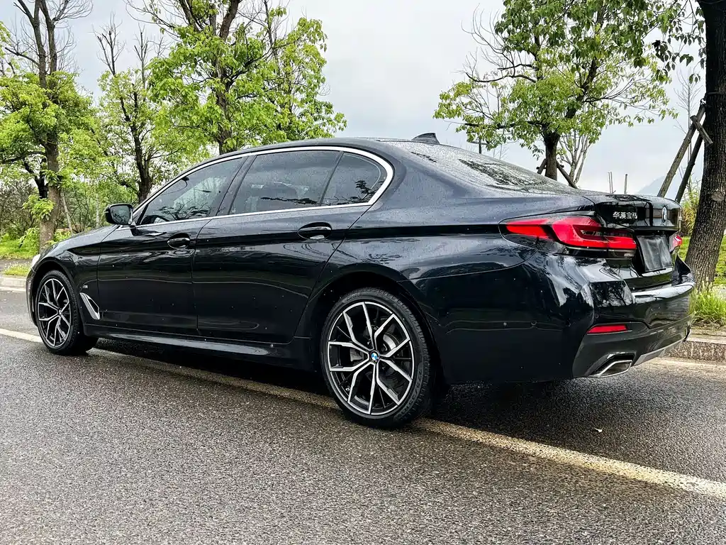 BMW 5 Series — миниатюра 4