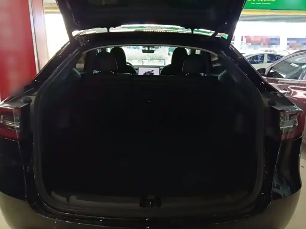 Tesla Model Y — миниатюра 19