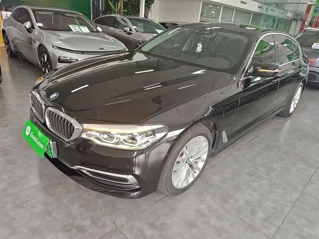BMW 5 Series New Energy 2020