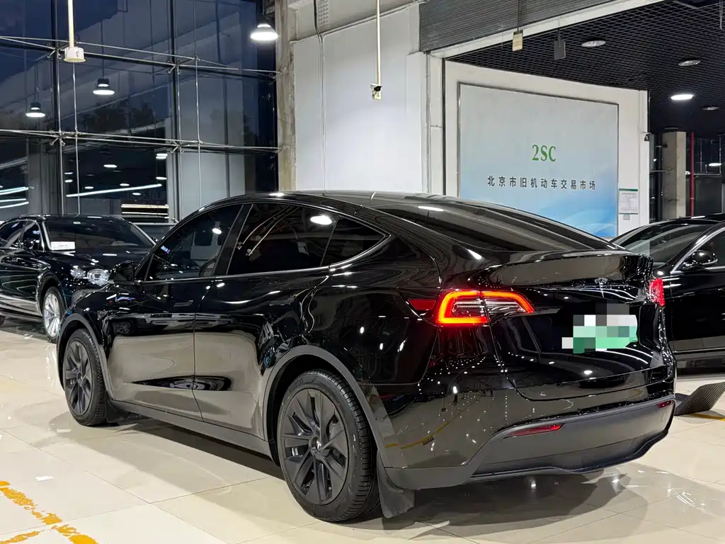 Tesla Model Y — миниатюра 15