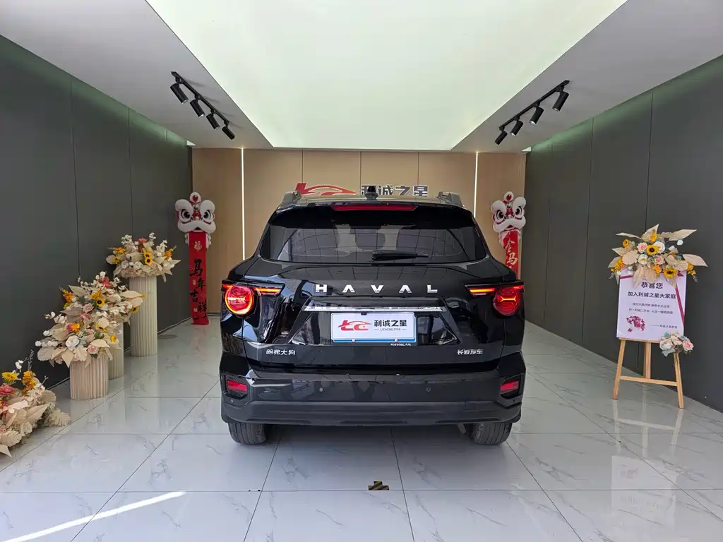 Haval Big Dog PLUS — миниатюра 5
