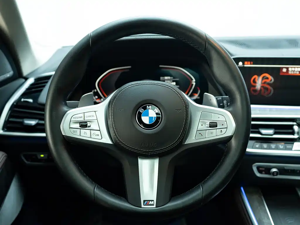 BMW X5 — миниатюра 13
