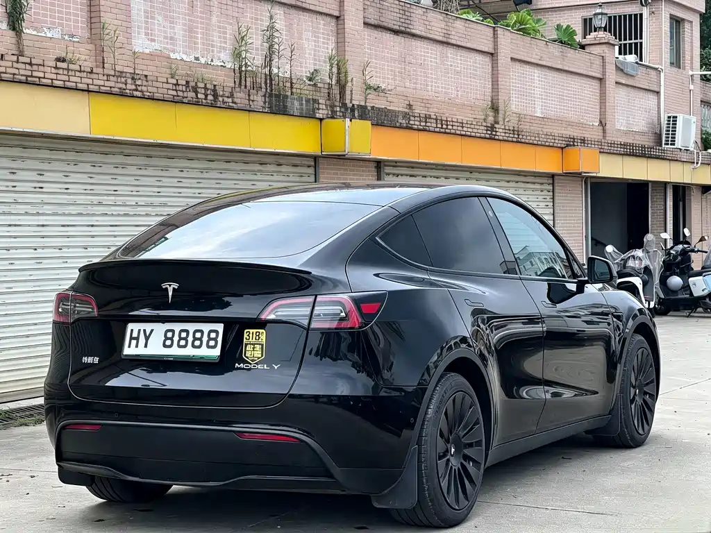Tesla Model Y — миниатюра 6