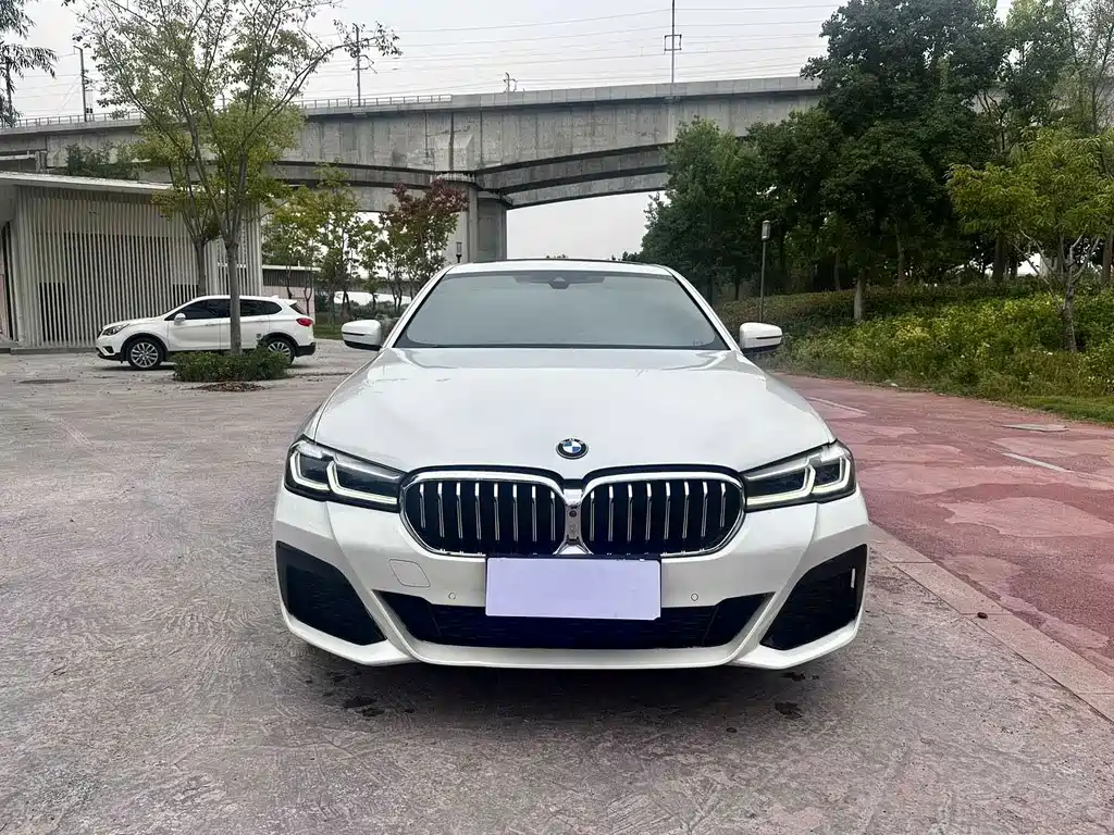 BMW 5 Series — миниатюра 2