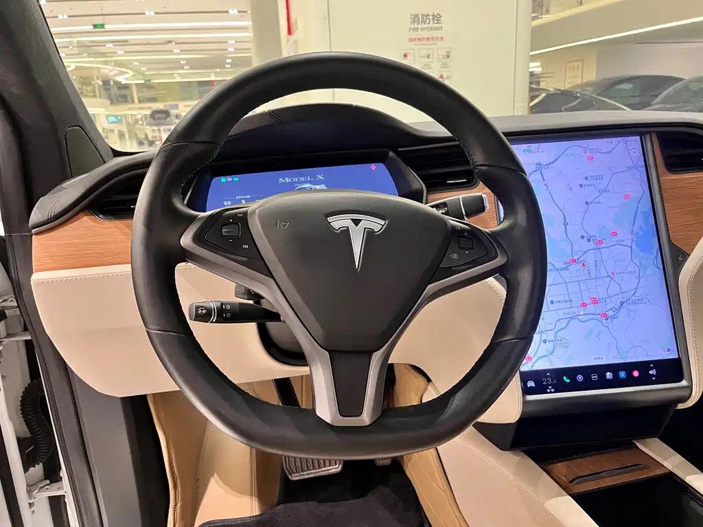 TESLA MODEL X