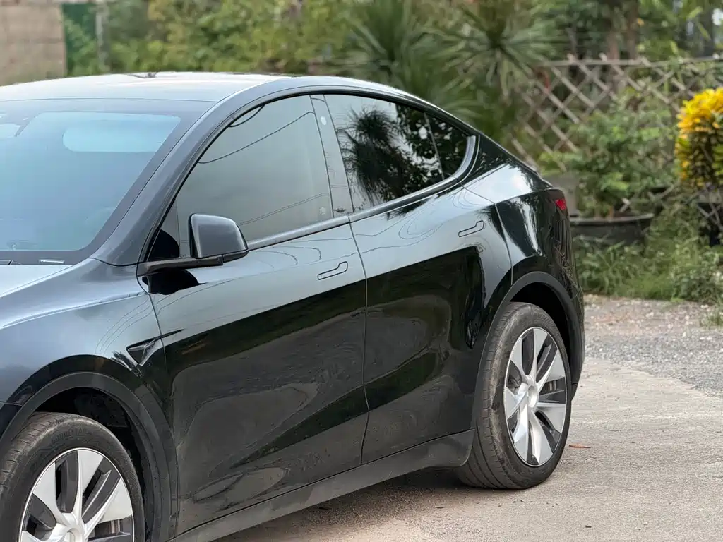 Tesla Model Y — миниатюра 16