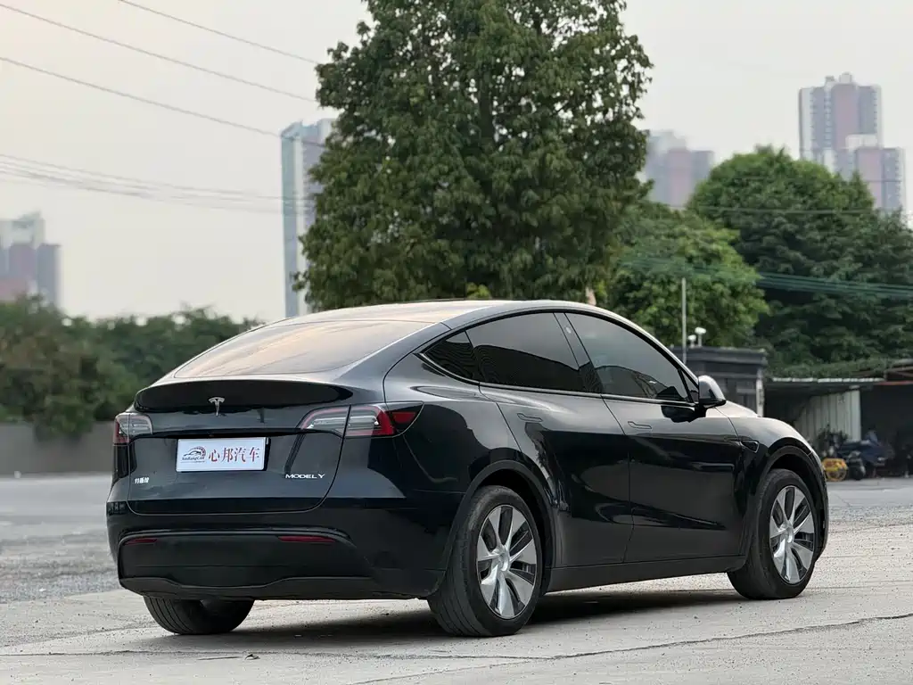 Tesla Model Y — миниатюра 19