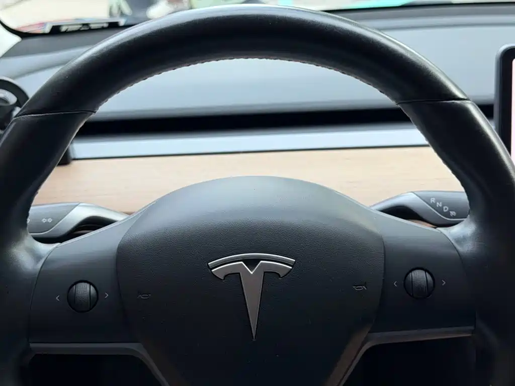 Tesla Model 3 — миниатюра 16