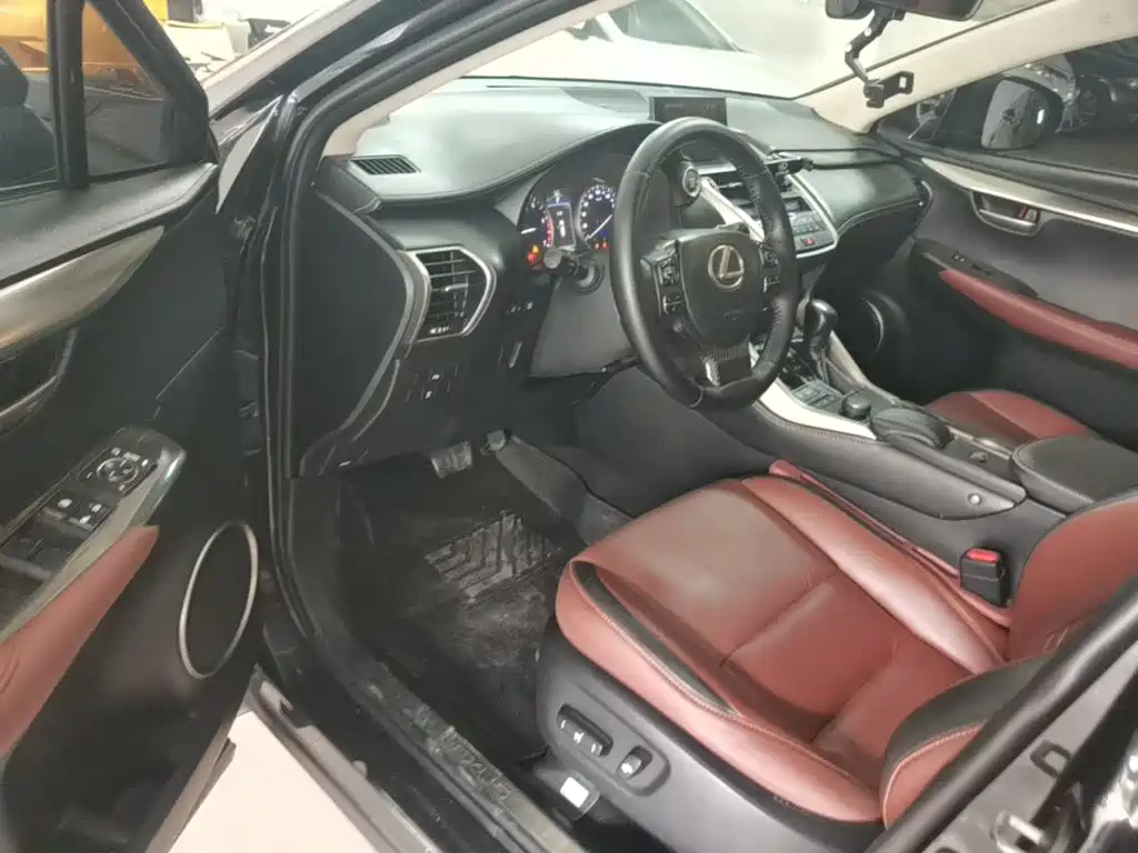 Lexus NX — миниатюра 16