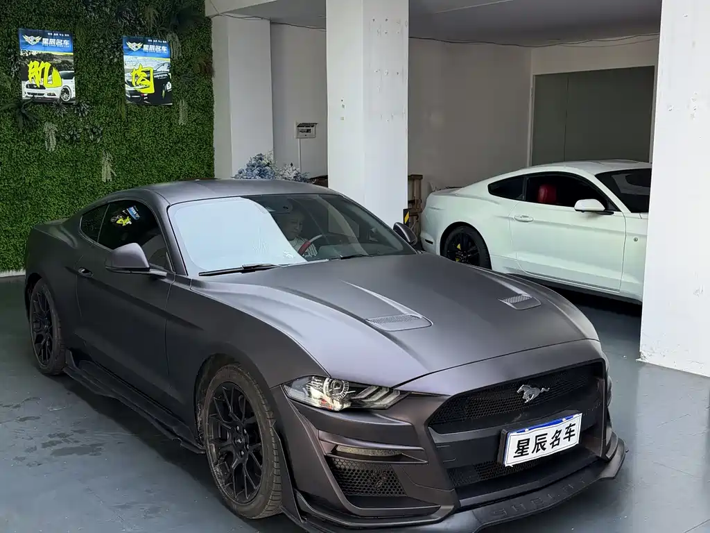 Ford Mustang — миниатюра 3