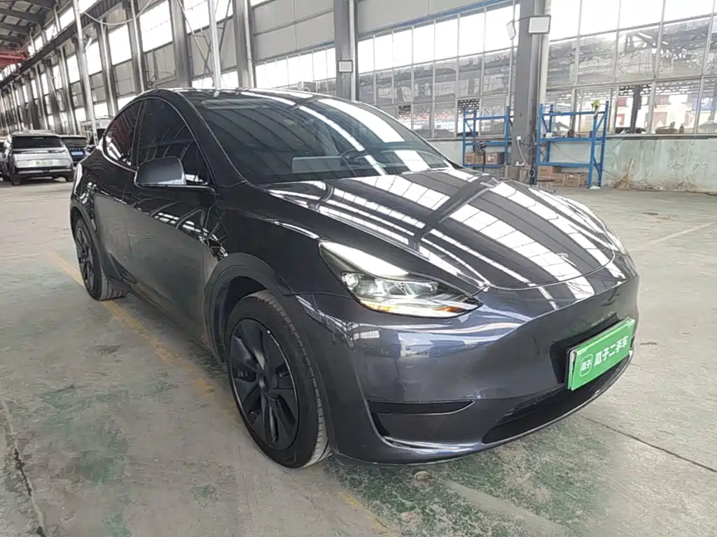 Tesla Model Y — миниатюра 4