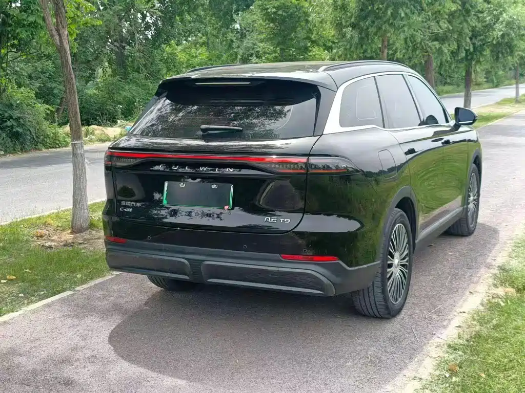 Fulwin Fengyun T9 — миниатюра 7