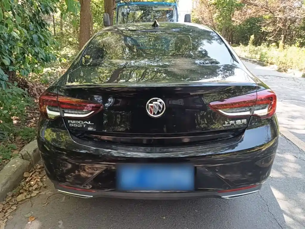 Buick Regal — миниатюра 6