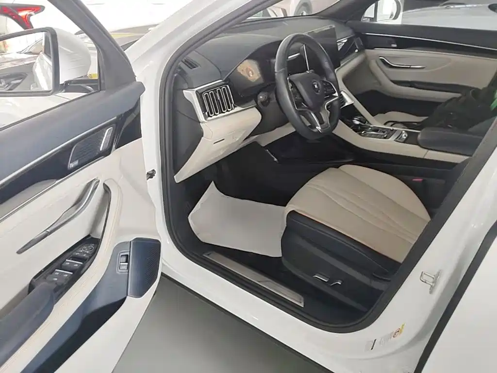 BYD PLUS New Energy — миниатюра 16