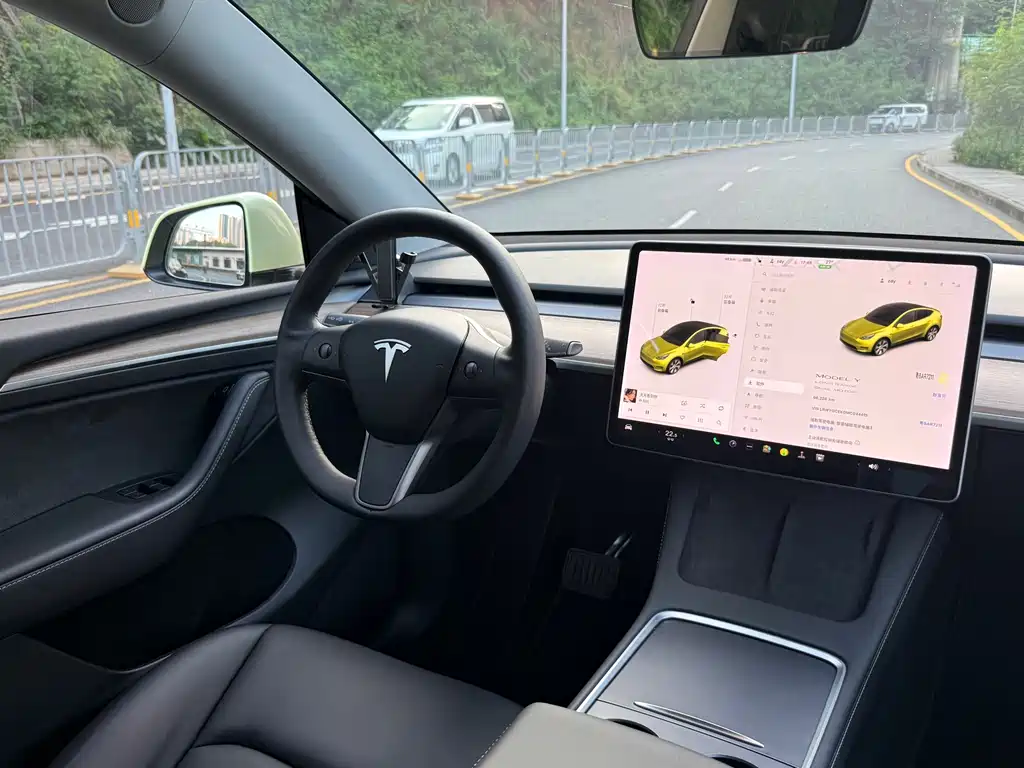 Tesla Model Y — миниатюра 12