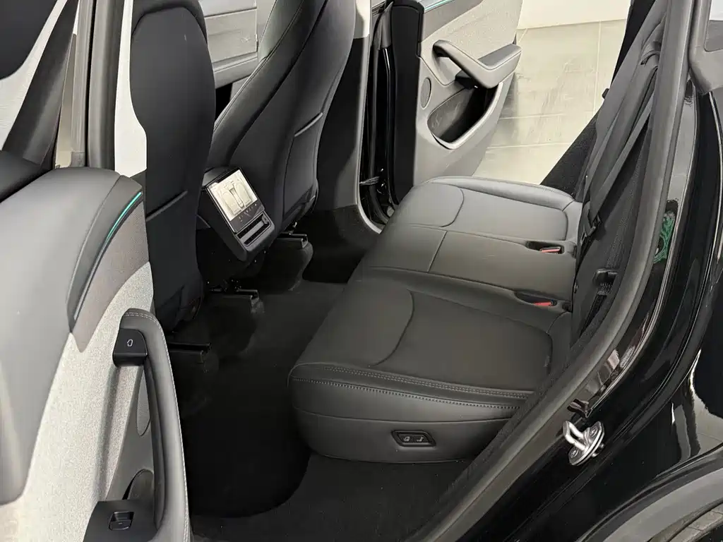 Tesla Model Y — миниатюра 8