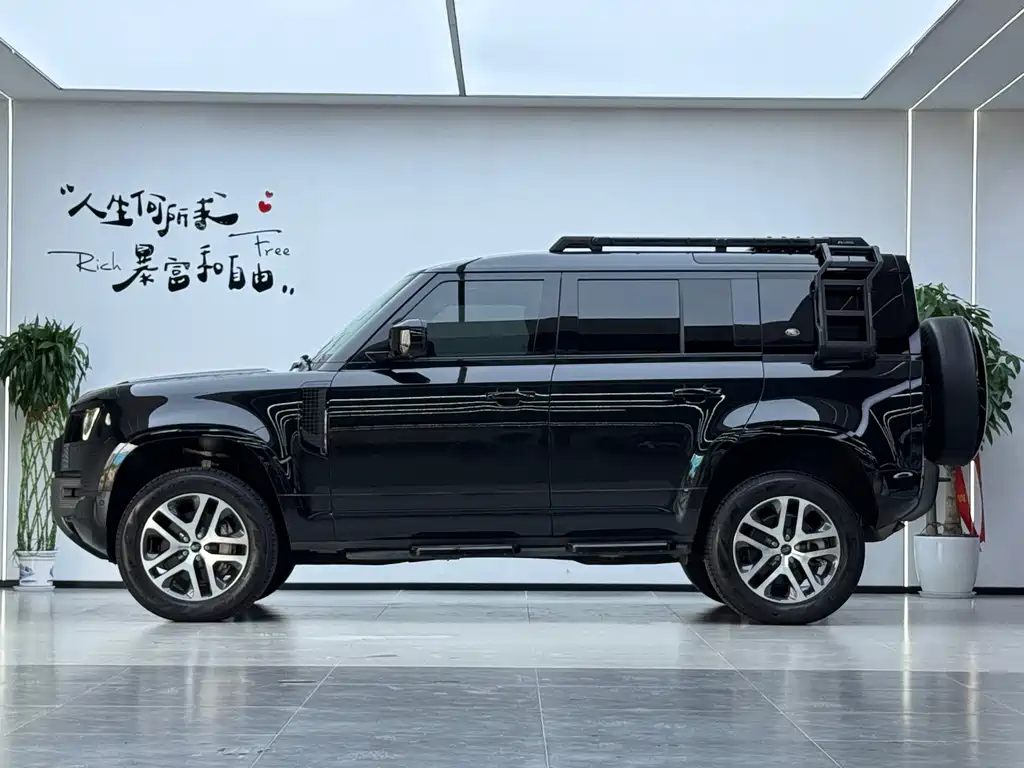 Land Rover Defender — миниатюра 21