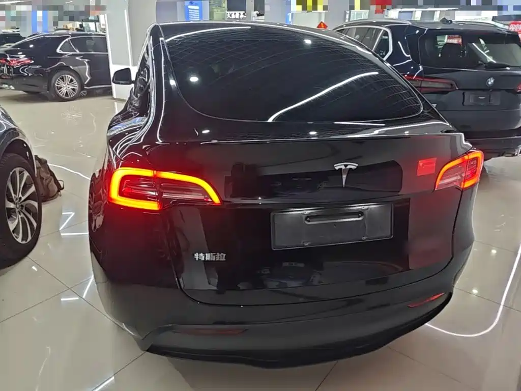 Tesla Model Y — миниатюра 6