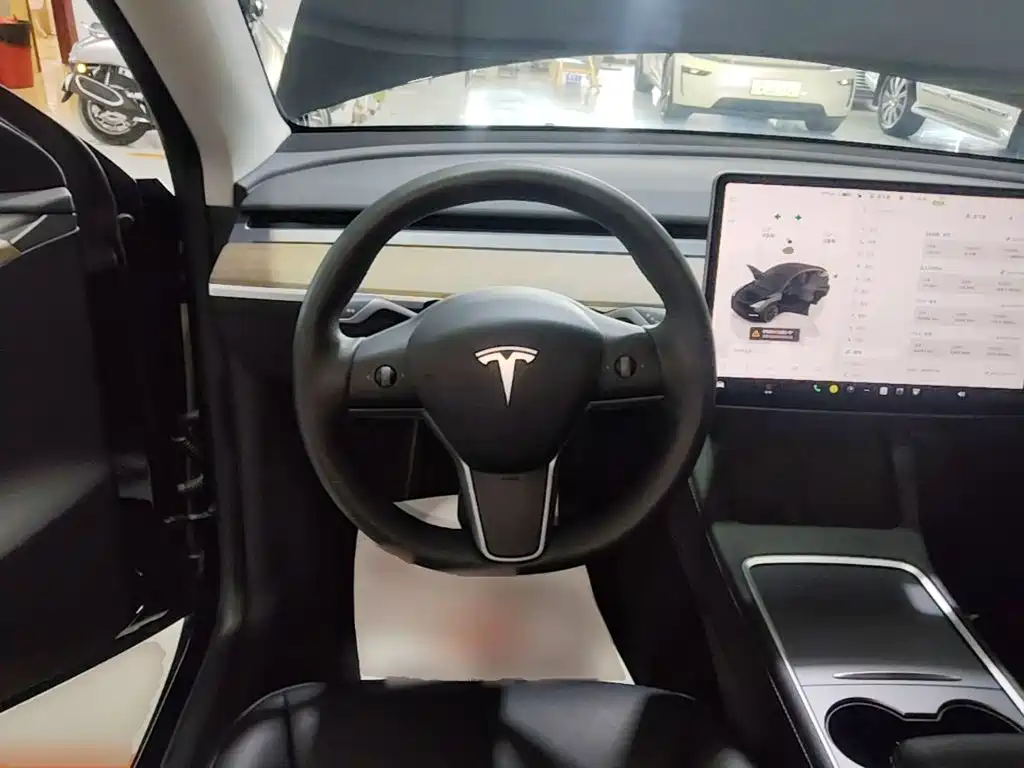 Tesla Model Y — миниатюра 11