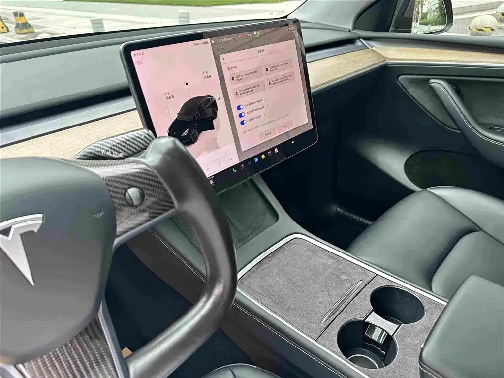 Tesla Model Y — миниатюра 14