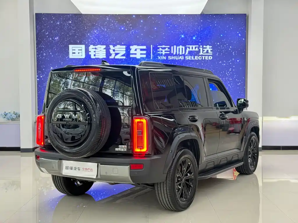 Haval Menglong New Energy — миниатюра 4