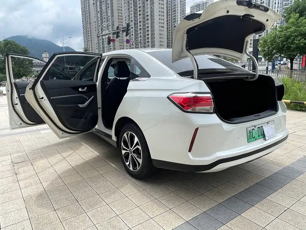 Venucia D60 EV — миниатюра 13