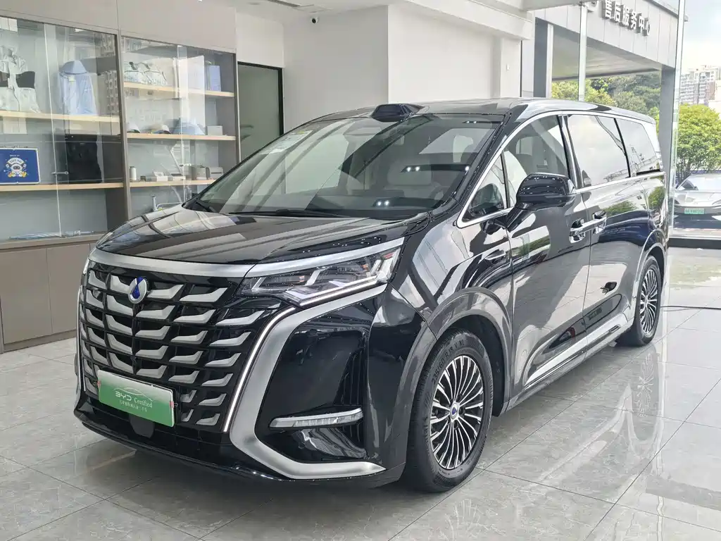 Denza Denza D9