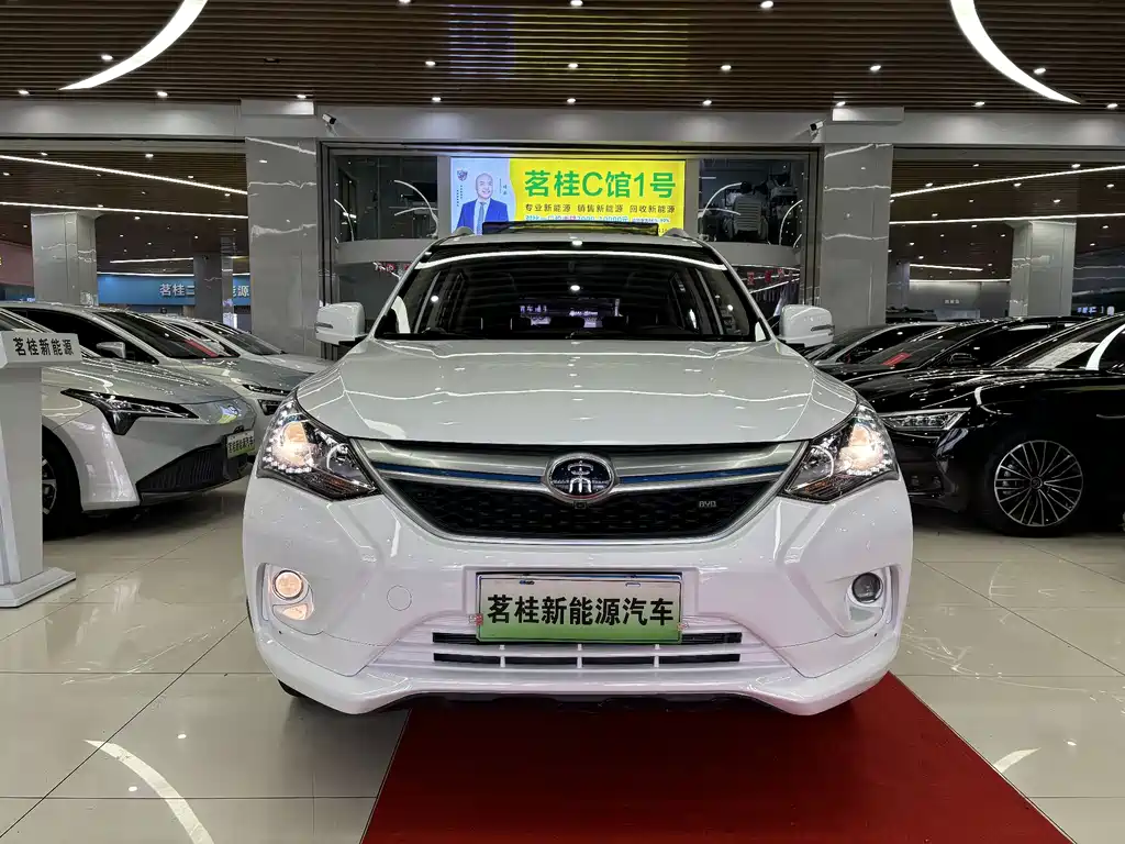 Byd New Energy 2017