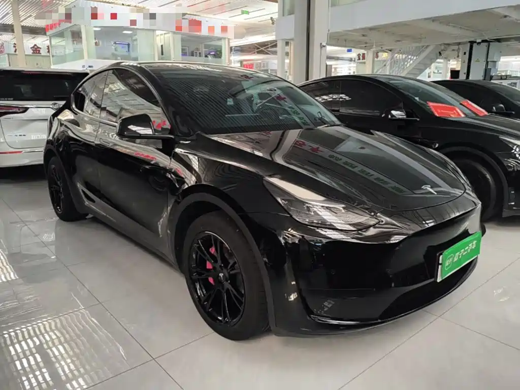 Tesla Model Y — миниатюра 4