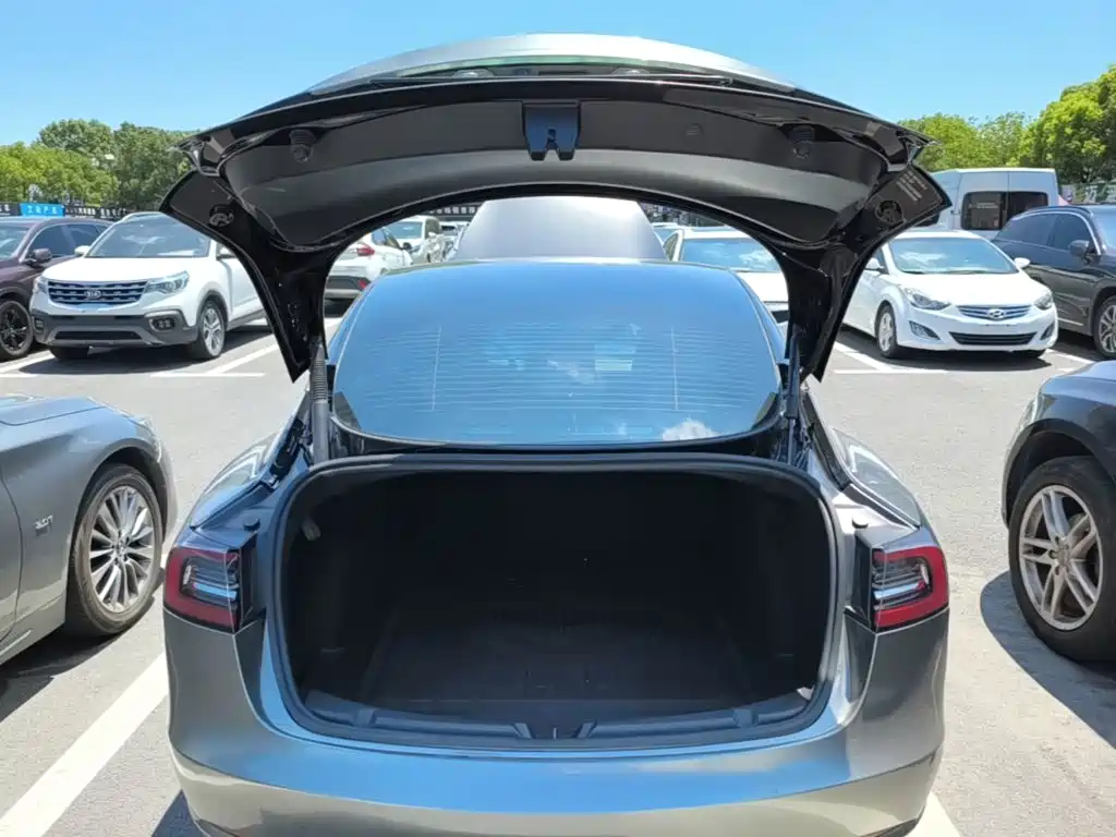 Tesla Model 3 — миниатюра 19
