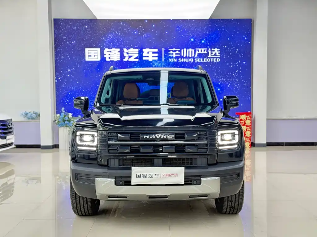 Haval Menglong New Energy — миниатюра 2