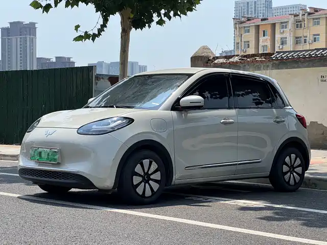 2025 Wuling Motors Binguo